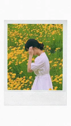 palaroid aesthetic