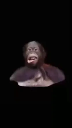 meme prank kocak