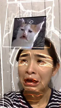 #MemeCatTest