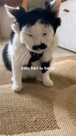 kalo hari lu berat