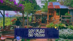 MV FLIM 29 Video