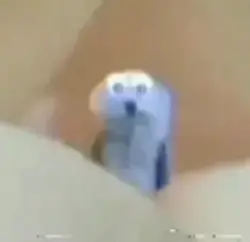 puppet in marshmallo