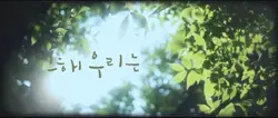 our beloved summer
