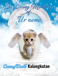 R.I.P 