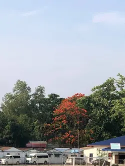 မင်းနဲနီးဖို။