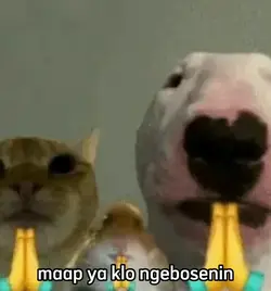 aanya kmu kiw om