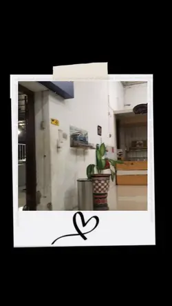 mini vlog frame