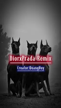 Dior x Prada
