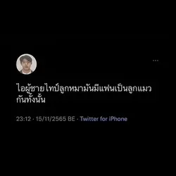 เรื่องจริงมั้ย 🐱