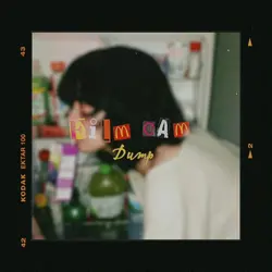 Film Cam Dumb