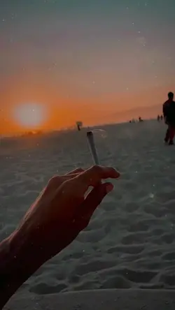 random vlog