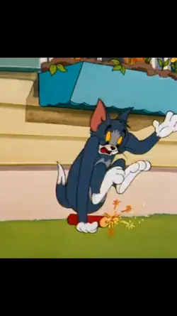 tom and Jerry
