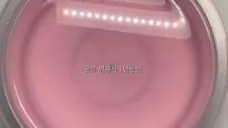 감사해요ㅜㅜ