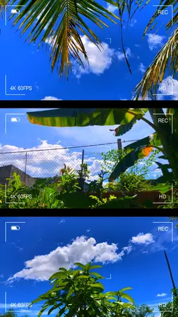 chill thiên nhiên