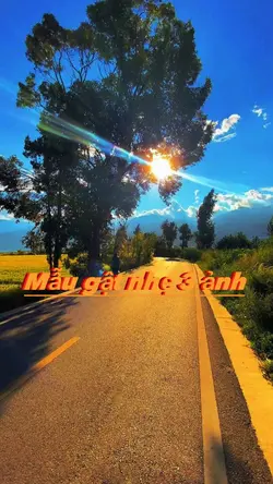 Mẫu 3 ảnh 