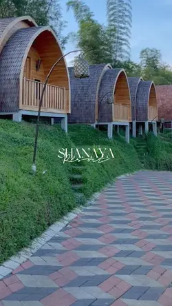 ESTETIK VIRAL