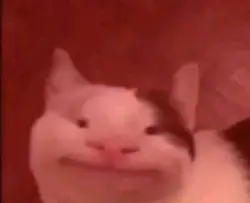 mẫu meme linda