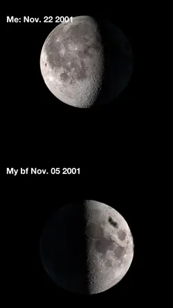moon trend 