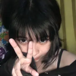 camera shutter