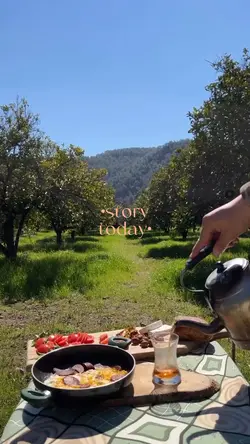 mini vlog