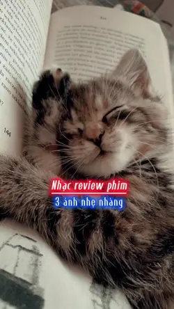 Nhạc review phim