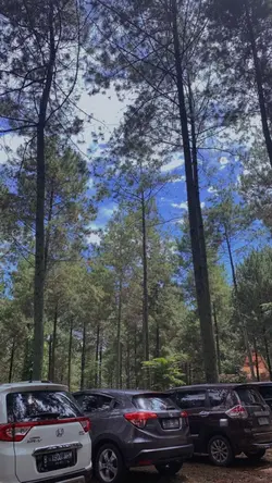 Santuy