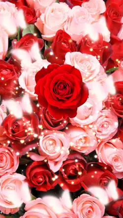 Falling Roses ❤️😚🥰