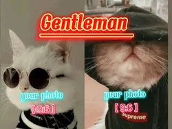 Gentleman 
