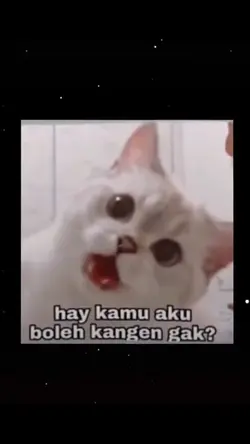 aku boleh kangan gk