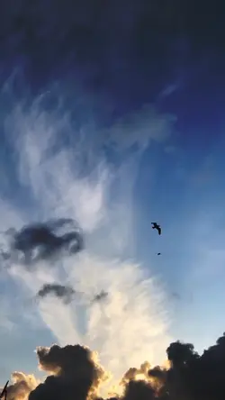 ...