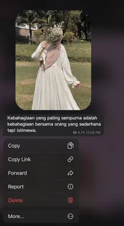 TERNYATA HANYA KAMU