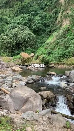 Mystake