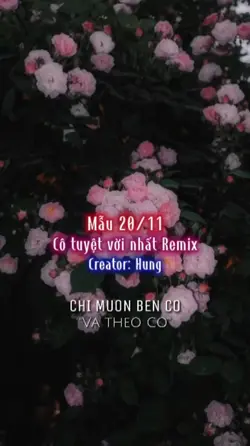 Mẫu 20/11
