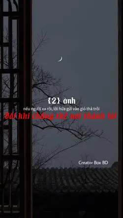 Đôi khi chẳng thể