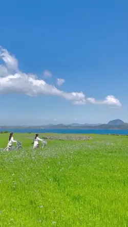 3 Video