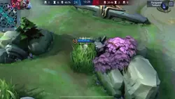 Montage slomo