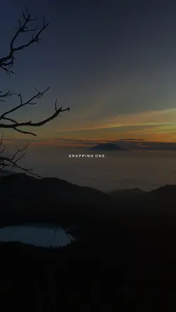 ROSS LIN - SNAP