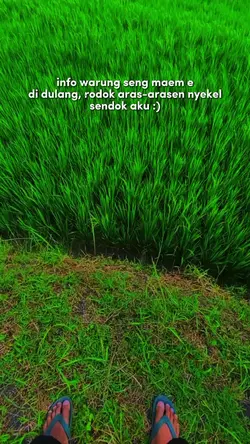 warung nyenuk 
