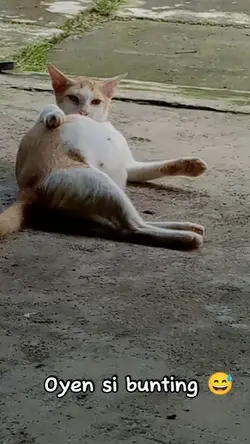 si oyen bunting