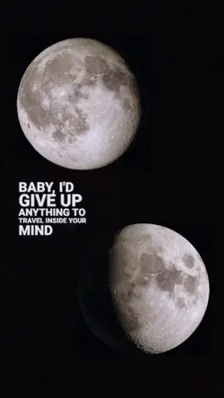 Trend Moon Phase