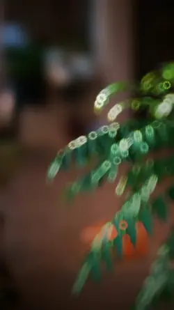 CINEMATIC FILTER HD