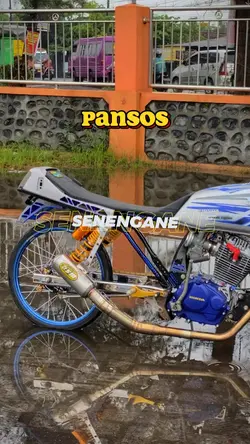 PANSOS 🤩