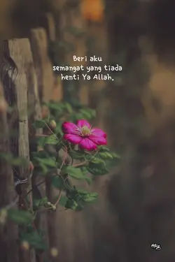 beri kekuatan