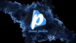 VIDEO PROFILE