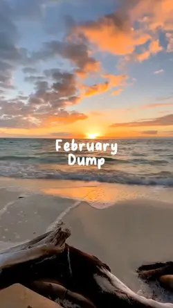 February Dump 6