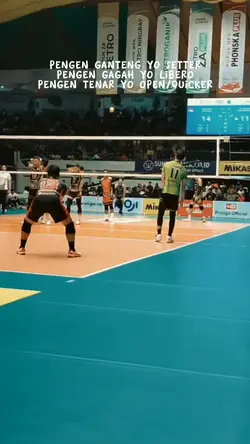 Voli