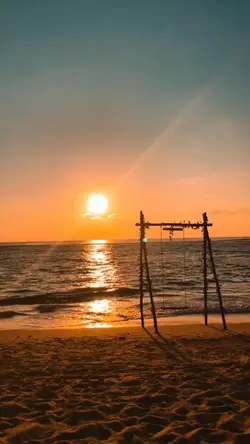 Beruang laut