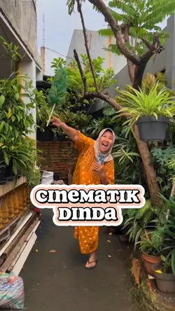 Cinematik dinda