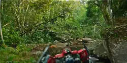 optimus