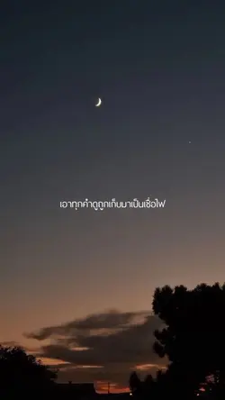 24 พฤษภา